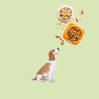 dog treats