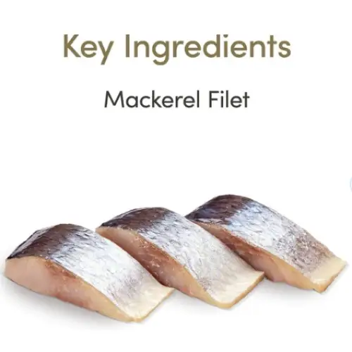 applaws-loin-mackerel-filet-grain-free-cat-treats-1-06-oz-