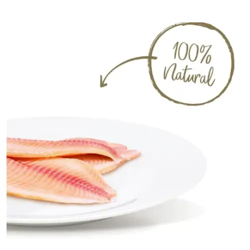 applaws-loin-tilapia-filet-grain-free-cat-treats-1-06-oz-pk