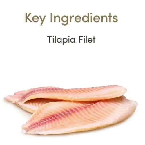 applaws-loin-tilapia-filet-grain-free-cat-treats-1-06-oz-pk