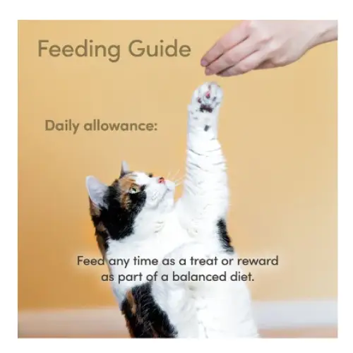 applaws-loin-tilapia-filet-grain-free-cat-treats-1-06-oz-pk