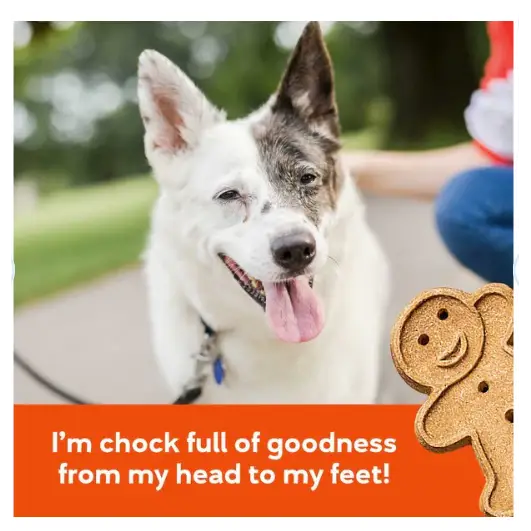 buddy-biscuits-teeny-treats-with-peanut-butter-oven-baked-dog-8-oz-box