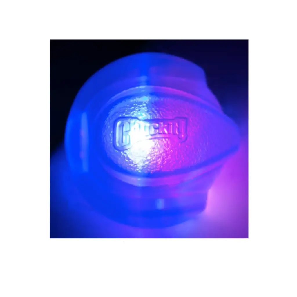Chuckit! Chuck It Light Fetch Ball Medium - Dog Toys