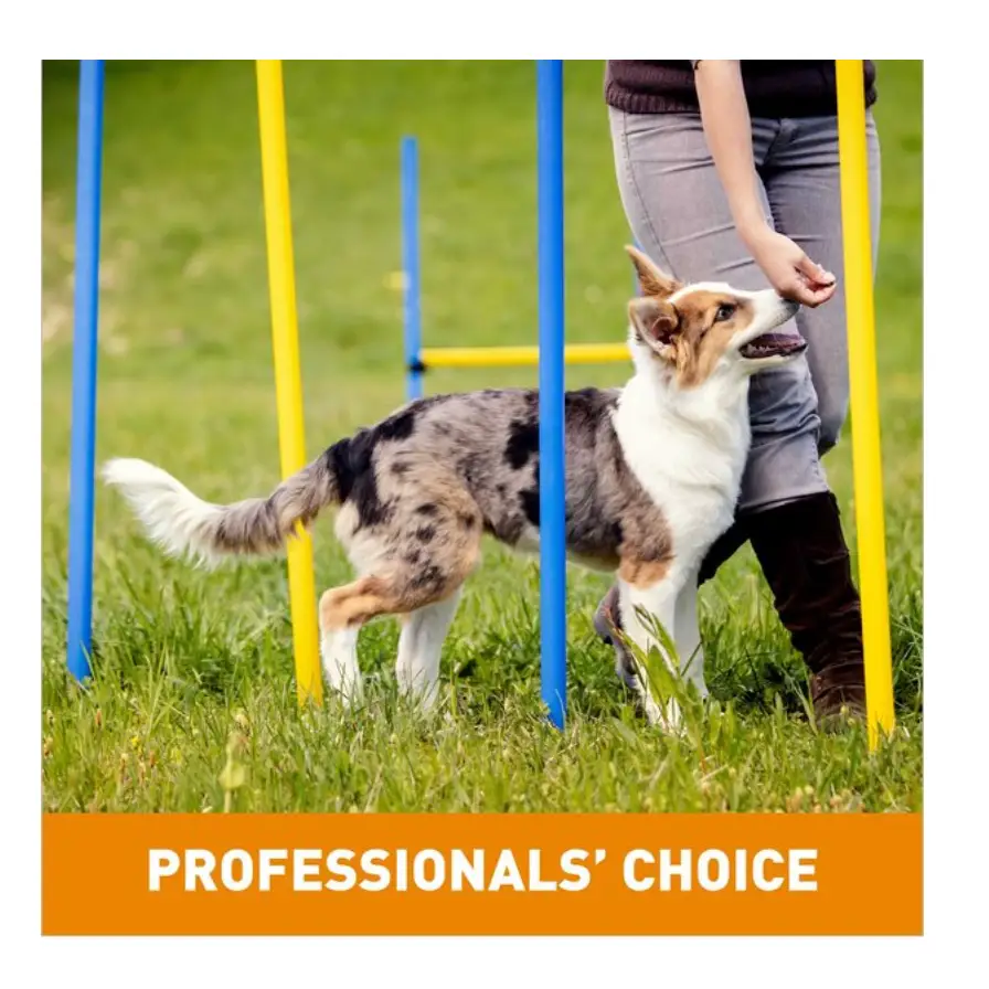 Cloud Star Chewy Tricky Trainers Cheddar Flavor Dog Treats