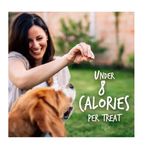Fruitables Pumpkin & Apple Flavor Crunchy Dog Treats 7-oz