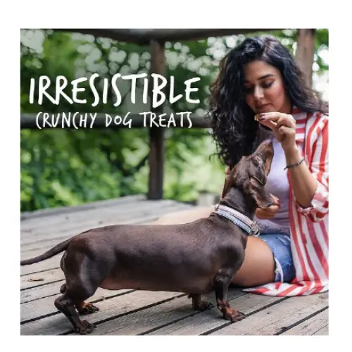 Fruitables Pumpkin & Cranberry Flavor Crunchy Dog Treats