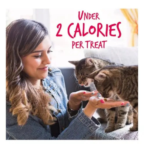 Fruitables Salmon & Cranberry Flavor Crunchy Cat Treats 2.5