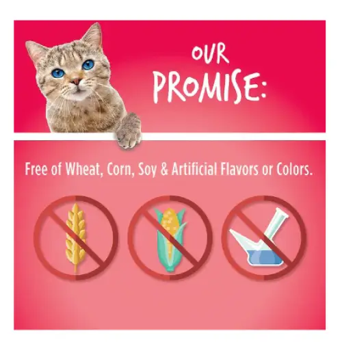 Fruitables Salmon & Cranberry Flavor Crunchy Cat Treats 2.5