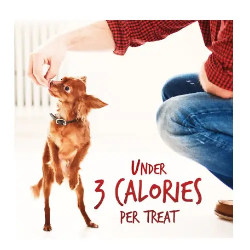 Fruitables Skinny Minis Apple Bacon Flavor Soft & Chewy Dog