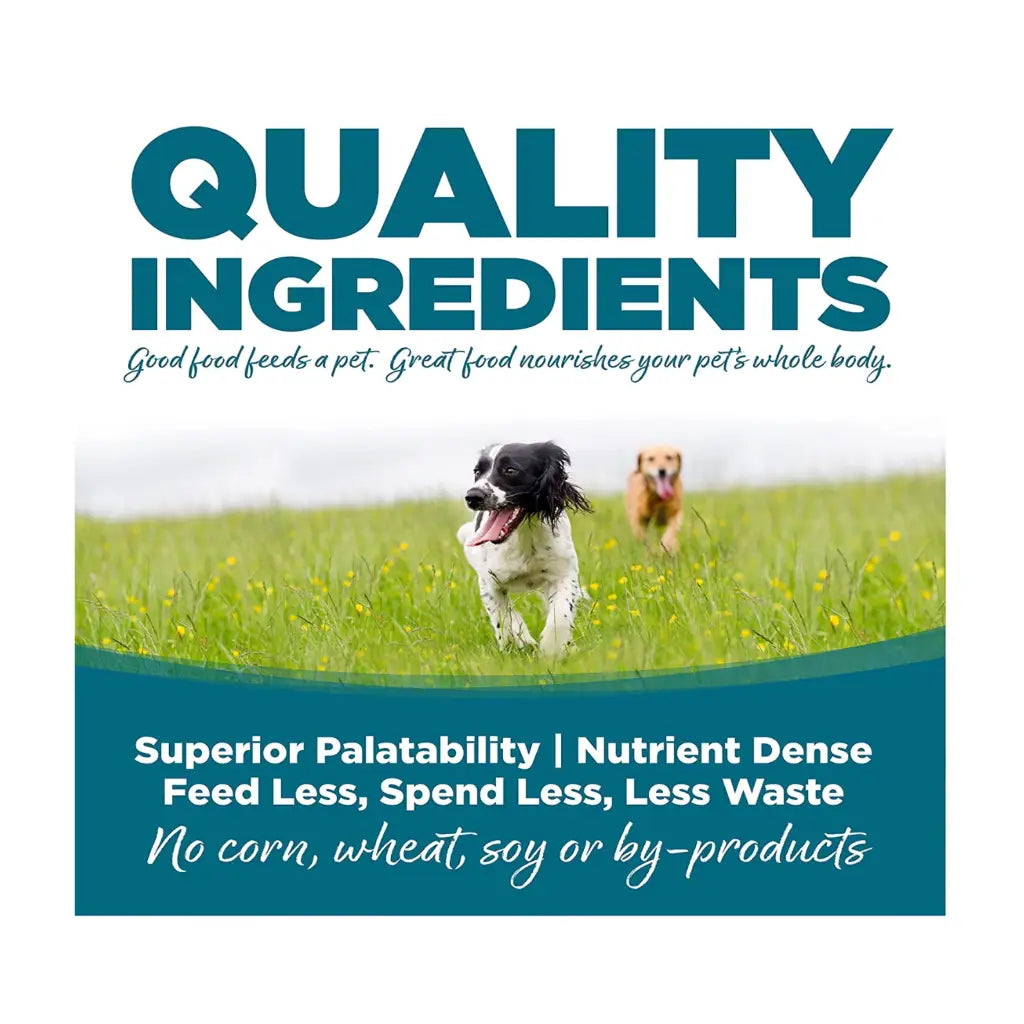 NutriSource Adult Chicken & Rice Recipe Dry Dog Food 5-lb