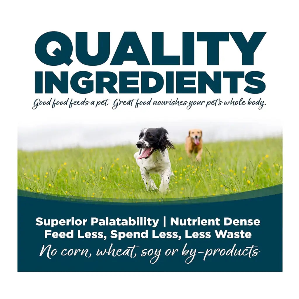 NutriSource Adult Chicken & Rice Small Bites Dog Food 5-lb