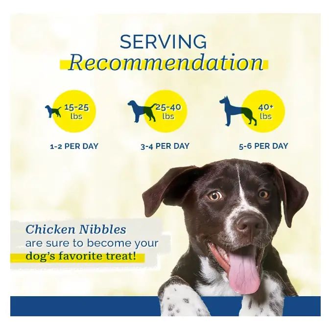 pet-center-chicken-nibbles-dog-treats-1-lb-jar-