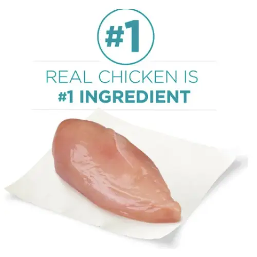 Purina ONE Tender Selects Blend with Real Chicken Dry Cat