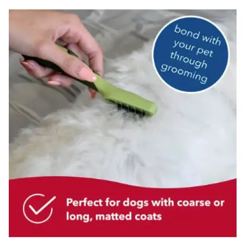 Safari Dog Mat Remover Small/ Medium - Dog Supplies
