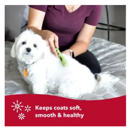 Safari Dog Mat Remover Small/ Medium - Dog Supplies