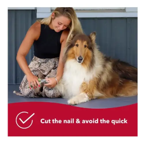 Safari Professional Nail Trimmer for Dogs Large - Dog Nail