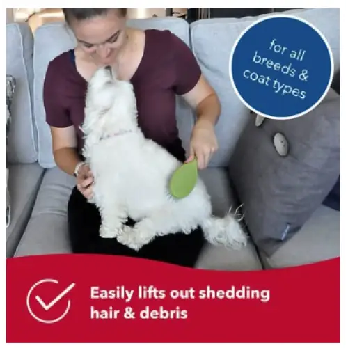 Safari Wire Pin Brush for Dogs Small/ Medium - Dog Comb