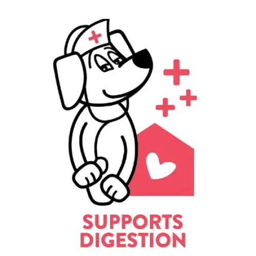 Shameless Pets A Cluck A Day Chicken & Apple Flavor Dental