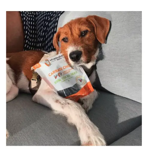 Shameless Pets Carrate Chomp Carrot & Salmon Oil Flavor