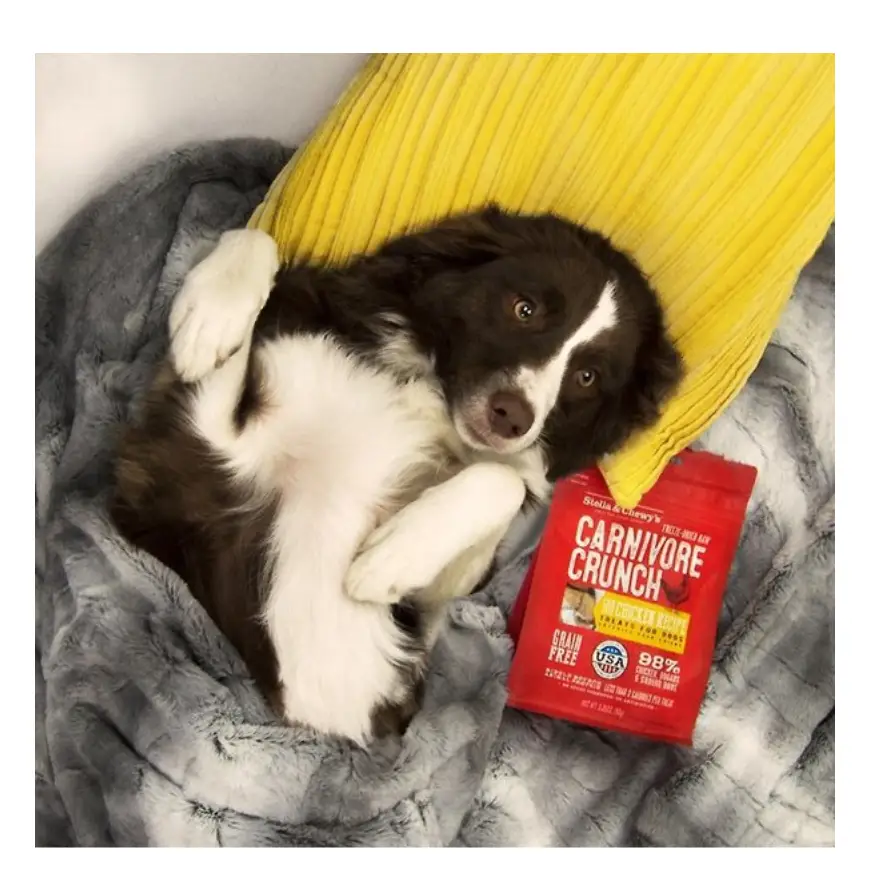 Stella & Chewy’s Carnivore Crunch Cage-Free Chicken Recipe