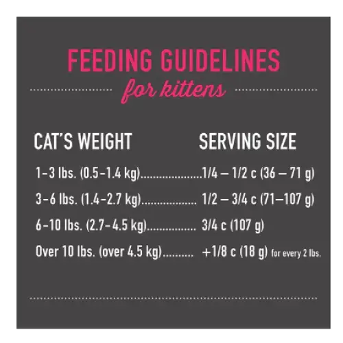 Tiki Cat Born Carnivore Deboned Chicken & Egg Recipe Dry