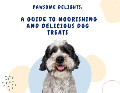 Pawsome Delights: A Guide to Nourishing and Delicious Dog Treats