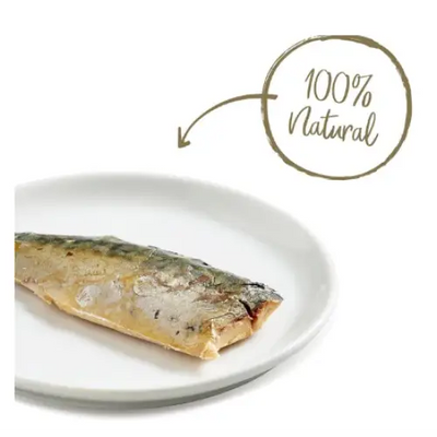 applaws-loin-mackerel-filet-grain-free-cat-treats-1-06-oz-