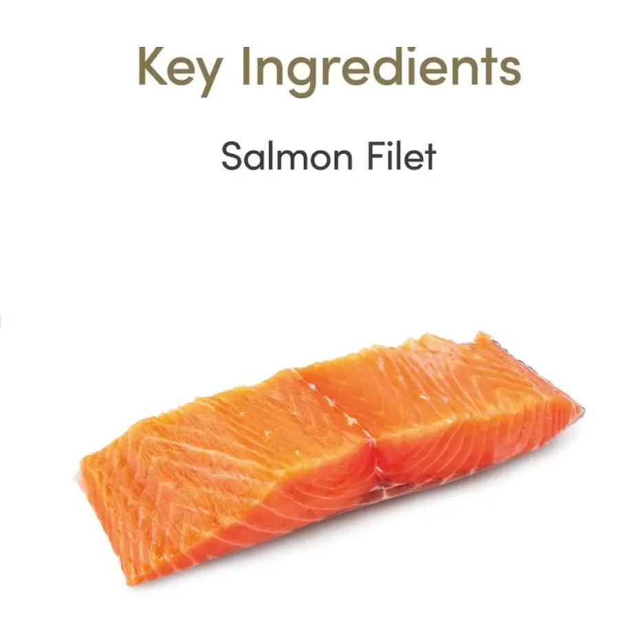 Applaws Loin Salmon Filet Grain-Free Cat Treats 1.06-oz loin