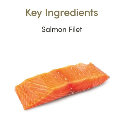 Applaws Loin Salmon Filet Grain-Free Cat Treats 1.06-oz loin