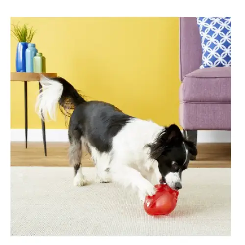 KONG Jumbler Football Dog Toy Color Varies Medium/Large -