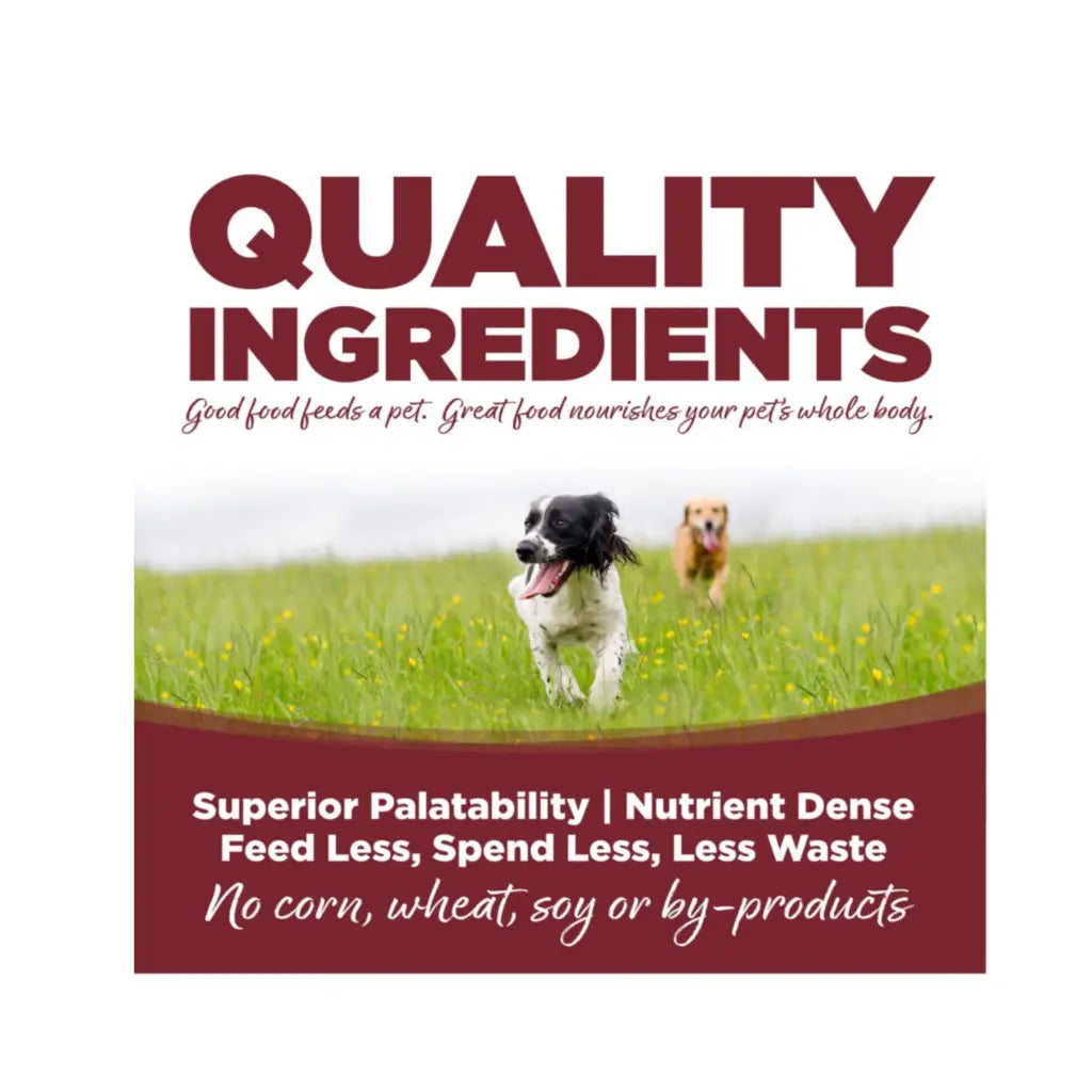 Nutrisource Beef & Brown Rice Recipe Dry Dog Food 5-lb bag -
