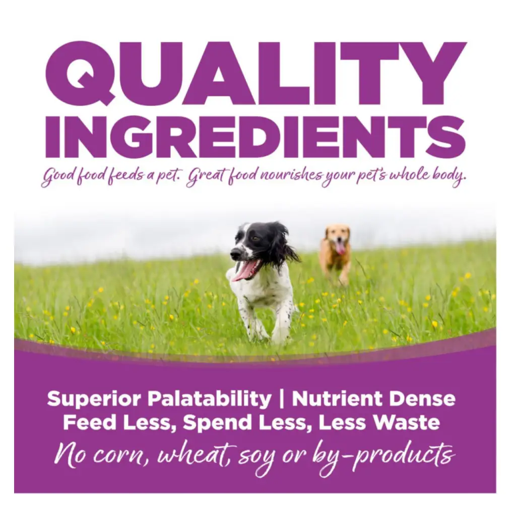 NutriSource Large Breed Puppy Chicken & Rice Dry Dog Food-