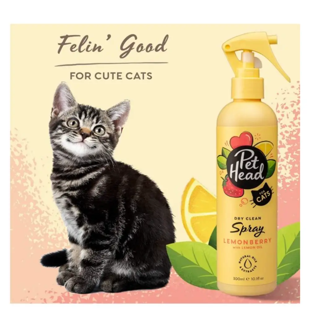 Pet Head Dry Clean Spray for Cats Lemonberry with Lemon Oil