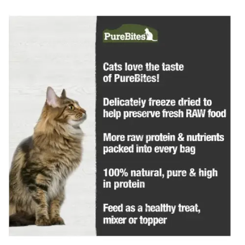 PureBites Beef Liver Freeze-Dried Raw Cat Treats 1.55-oz bag