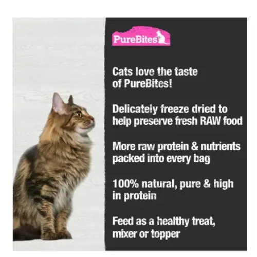 purebites-salmon-freeze-dried-raw-cat-treats-92-oz-bag