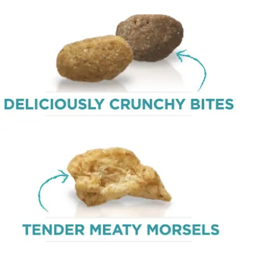 Purina ONE Tender Selects Blend with Real Chicken Dry Cat