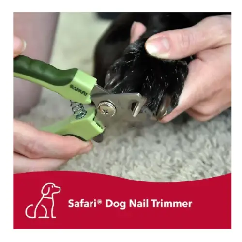 Safari Professional Nail Trimmer for Dogs Large - Dog Nail