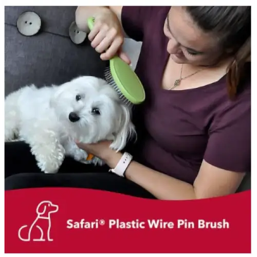 Safari Wire Pin Brush for Dogs Small/ Medium - Dog Comb