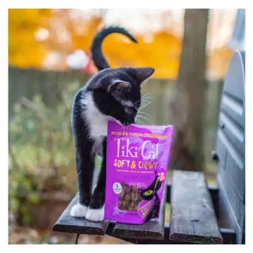 Tiki Cat Soft & Chewy Chicken Recipe Grain-Free Cat Treats