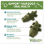whimzees-by-wellness-alligator-dental-chews-natural-grain-free-dog-treats-small-24-count